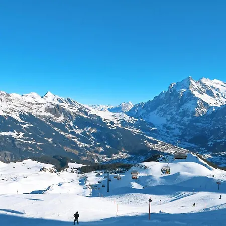 Mit Bergblick By Interhome Lejlighed Grindelwald